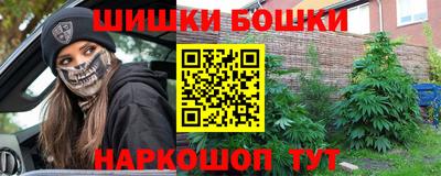 шишки Тулун