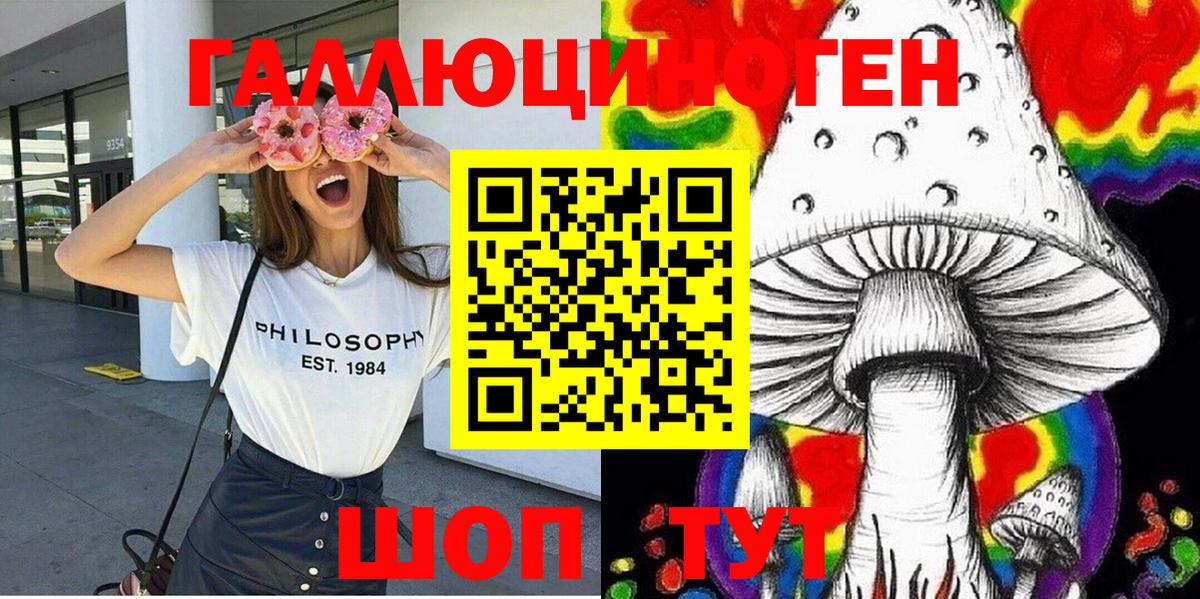 Павлово  Псилоцибиновые грибы Cubensis  Вход с VPN  купить наркотики сайты  Псилоцибиновые грибы мухоморы 